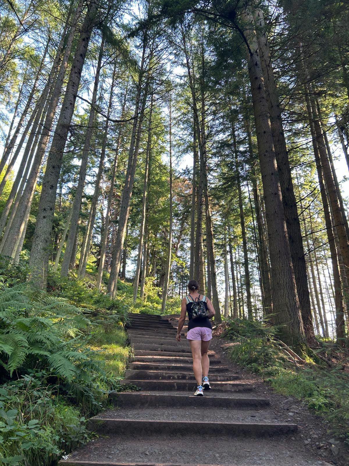 A woman walking up woodland steps through a sunlit Scottish forest